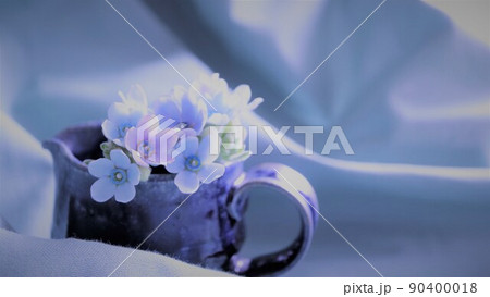 全体的に青みがかった早朝をイメージさせる素材　霧がかった早朝のイメージ　ヴィンテージカップに入れた花 90400018