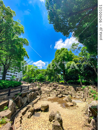 東京板橋・新緑の高島平緑地 東京板橋・新緑の高島平緑地 90400101