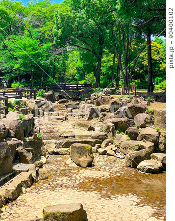 東京板橋・新緑の高島平緑地 東京板橋・新緑の高島平緑地 90400102