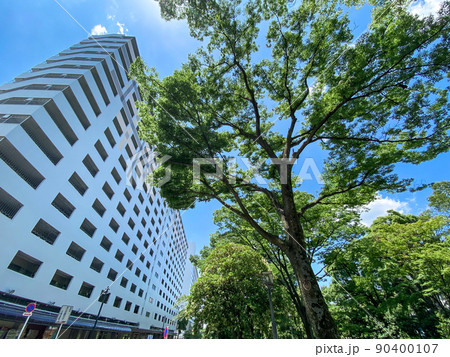 東京板橋・新緑の高島平緑地 90400107