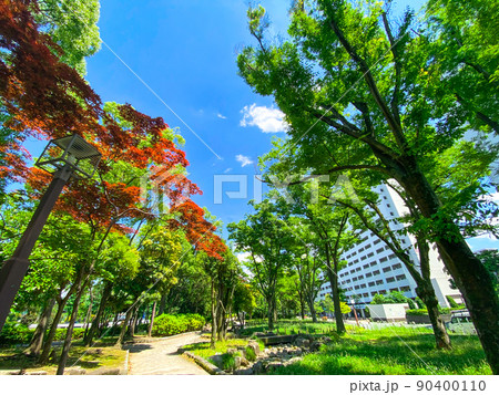 東京板橋・新緑の高島平緑地 90400110