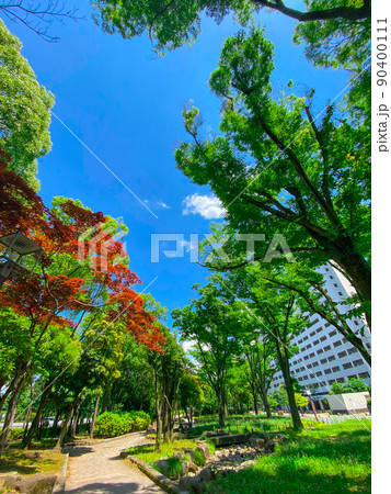 東京板橋・新緑の高島平緑地 東京板橋・新緑の高島平緑地 90400111