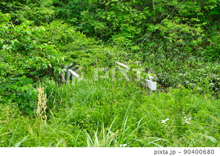富山県高岡市福岡町五位地区の草に覆われた橋 富山県高岡市福岡町五位地区の草に覆われた橋 90400680