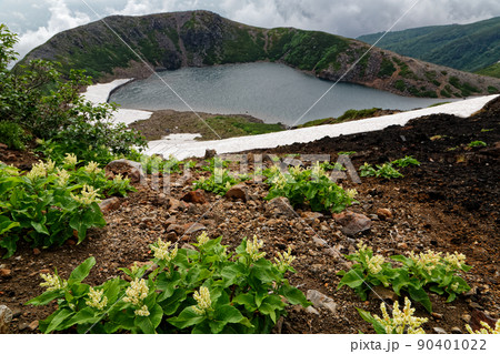 御嶽山稜線のオンタデ群落と三ノ池 御嶽山稜線のオンタデ群落と三ノ池 90401022