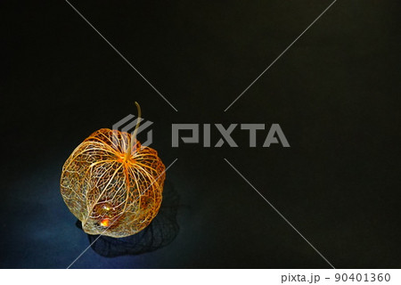 黒バック ビー玉を入れた網目ほおずき 黒バック ビー玉を入れた網目ほおずき 90401360