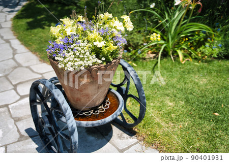 鉢植えの花のクローズアップ 90401931
