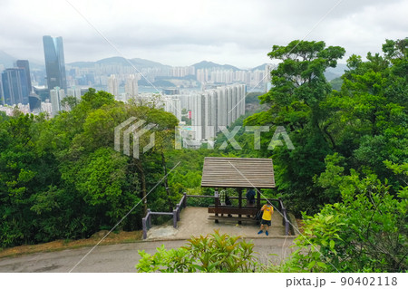 the landscape of Tai Tam Country Park Quarry Bay Extension Section 5 June 2022 the landscape of Tai Tam Country Park Quarry Bay Extension Section 5 June 2022 90402118