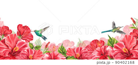Floral horizontal border with tropical red flowers, green leaves, hibiscus. Watercolor isolated pattern on white background, panoramic illustration summer tropics. Design website, greeting card, pack 90402168