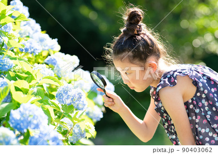 紫陽花を虫眼鏡で見る少女 紫陽花を虫眼鏡で見る少女 90403062