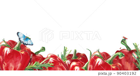 Watercolor vegetables. Banner with red pepper and rosemary. Sweet pepper. Watercolor illustration on a white background. Hand drawn isolated fresh red pepper paprika. Design greeting card, packaging Watercolor vegetables. Banner with red pepper and rosemary. Sweet pepper. Watercolor illustration on a white background. Hand drawn isolated fresh red pepper paprika. Design greeting card, packaging 90403192