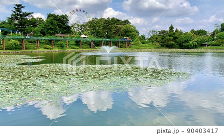 青空と雲の水鏡［南公園三田ヶ入池/愛知県岡崎市］ 90403417