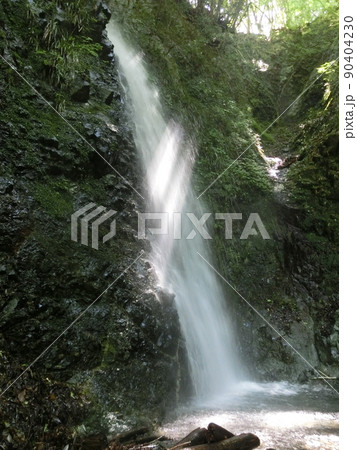 黒竜の滝(丹沢・表丹沢県民の森)神奈川県秦野市 黒竜の滝(丹沢・表丹沢県民の森)神奈川県秦野市 90404230