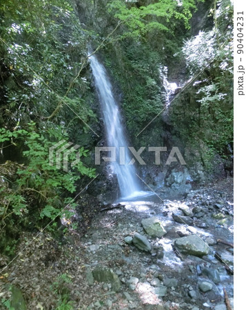 黒竜の滝(丹沢・表丹沢県民の森)神奈川県秦野市 黒竜の滝(丹沢・表丹沢県民の森)神奈川県秦野市 90404231