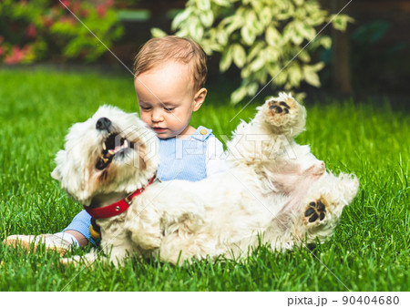 Happy baby girl playing with domestic family dog on green grass at back yard lawn Happy baby girl playing with domestic family dog on green grass at back yard lawn 90404680