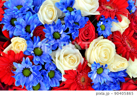 フランス色（赤、青、白）のバラの花の写真素材 [90405865] - PIXTA