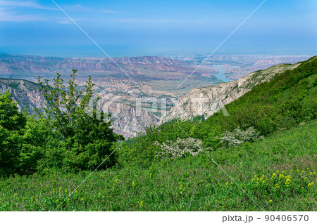 spring mountain landscape with blooming tree in the foreground and the towns below on the plain 90406570