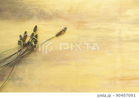 Delicate flowers on a golden background close-up, tender field grass on a yellow wooden background. Delicate flowers on a golden background close-up, tender field grass on a yellow wooden background. 90407091