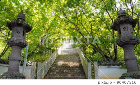 西の滝龍水寺の参道5【香川県小豆島町小豆】 西の滝龍水寺の参道5【香川県小豆島町小豆】 90407516