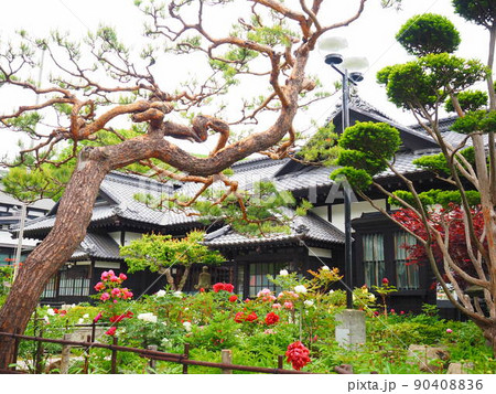 北海道の風景 小樽貴賓館 旧青山別邸の庭に咲く牡丹の花 90408836
