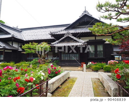 北海道の風景 小樽貴賓館 旧青山別邸の庭に咲く牡丹の花 北海道の風景 小樽貴賓館 旧青山別邸の庭に咲く牡丹の花 90408839