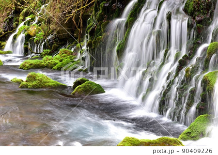 新緑の元滝伏流水 90409226