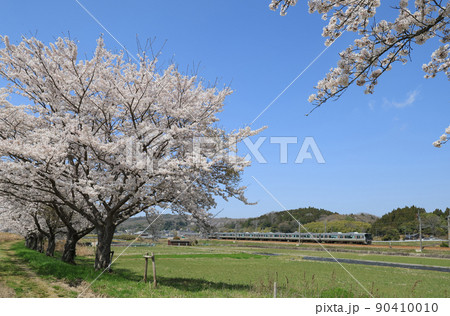 桜の三田付近を走る225系電車 桜の三田付近を走る225系電車 90410010