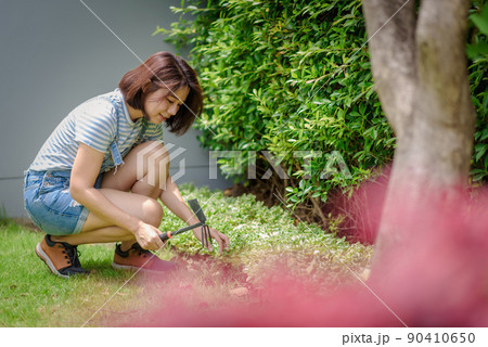An Asian woman gardener is shoveling and working in her garden. An Asian woman gardener is shoveling and working in her garden. 90410650
