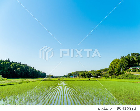 日本の原風景 田植えが終わったすがすがしい初夏の田んぼ 日本の原風景 田植えが終わったすがすがしい初夏の田んぼ 90410833