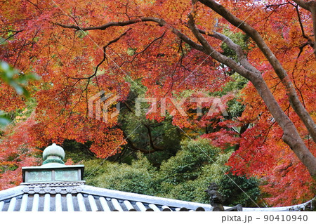 久安寺の紅葉 久安寺の紅葉 90410940