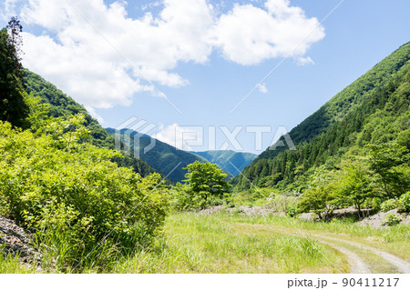 【国道157号】河川敷から山並みを眺める 【国道157号】河川敷から山並みを眺める 90411217