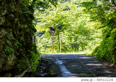 【国道157号】掘割の先にある国道標識 90411228