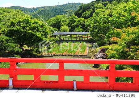 【愛媛県】晴天の南楽園 【愛媛県】晴天の南楽園 90411399
