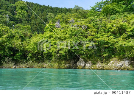 新緑に囲まれたエメラルドグリーンの手取川の流れ＠石川の写真素材