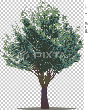Tree tree Tree tree 90411956