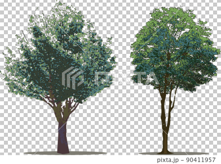 Tree tree set Tree tree set 90411957