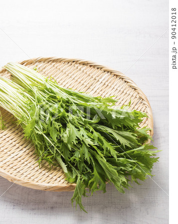 水菜 水菜 90412018