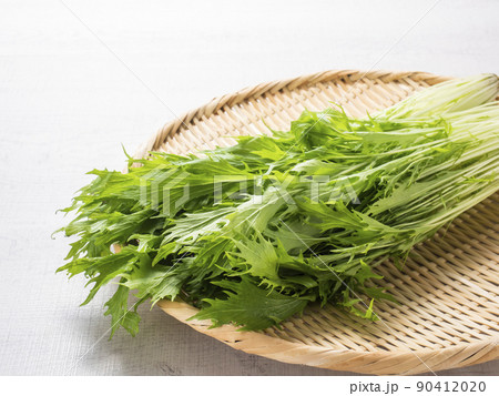 水菜 90412020