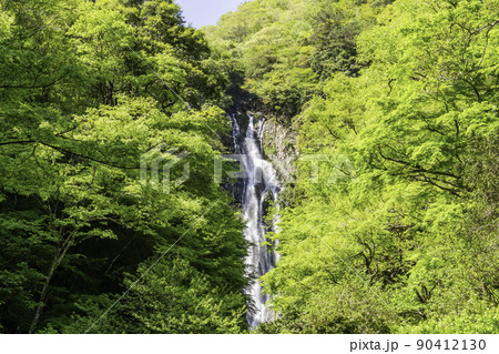 神庭の滝 岡山県真庭市 神庭の滝 岡山県真庭市 90412130