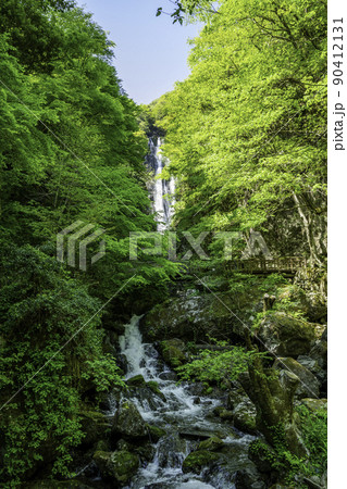 神庭の滝 岡山県真庭市 神庭の滝 岡山県真庭市 90412131