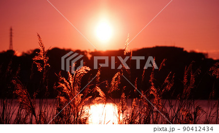 朝の光 朝の光 90412434