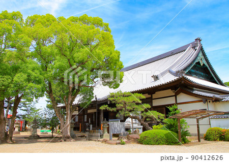 岡崎市、大樹寺本堂の風景 90412626