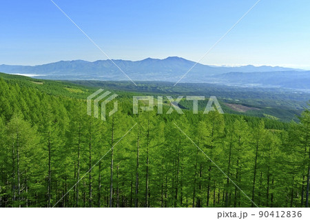 八千穂高原を通るメルヘン街道と八ヶ岳ビューロードの分岐点の見晴台から佐久平と浅間連山を望む 90412836