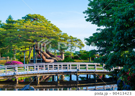 緑が美しい晴れの兼六園|石川県金沢市 緑が美しい晴れの兼六園|石川県金沢市 90413423