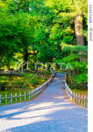 緑が美しい晴れの兼六園｜石川県金沢市 90413433