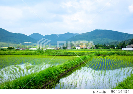 里山の水田風景 里山の水田風景 90414434
