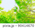 夏イメージ「水彩画風」 90414670