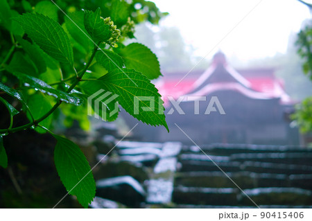 寺と雨に濡れる紫陽花 寺と雨に濡れる紫陽花 90415406
