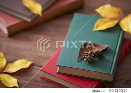 秋の読書イメージ 紅葉した落ち葉と本 秋の読書イメージ 紅葉した落ち葉と本 90416012