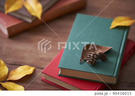 秋の読書イメージ 紅葉した落ち葉と本 秋の読書イメージ 紅葉した落ち葉と本 90416015