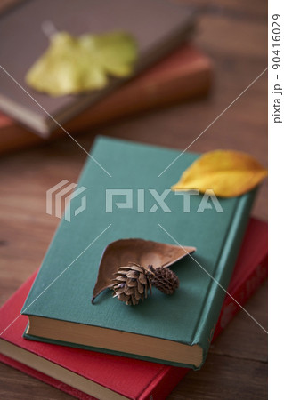 秋の読書イメージ　紅葉した落ち葉と本 90416029